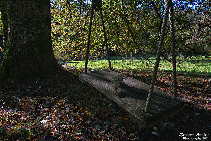 Bernhard Saalfeld - Schaukel Maison Forestiere